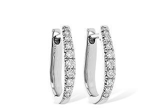 E253-66427: EARR .25 TW