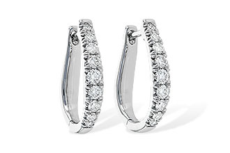 F253-66427: EARR .50 TW